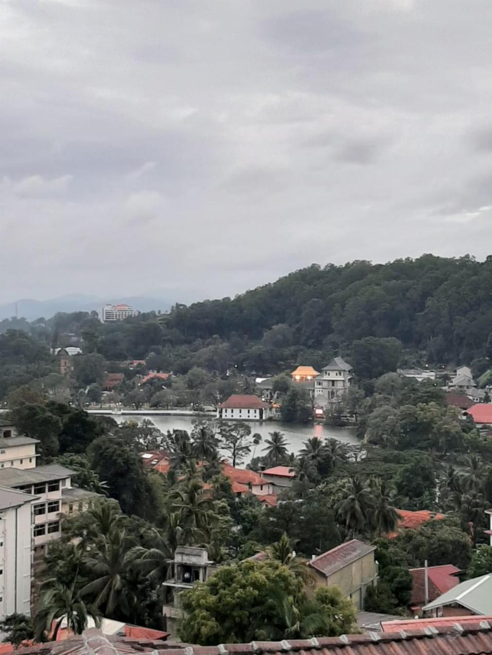 Mcleod-Inn Main image